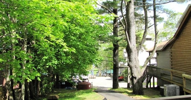 Depe Dene Resort Lake George Eksteriør bilde